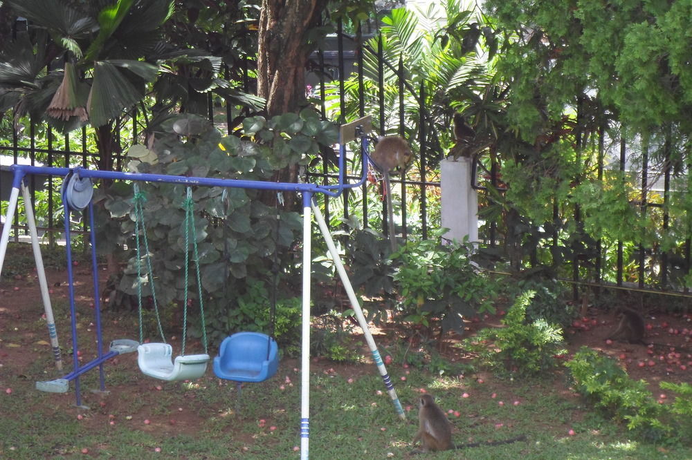 Kandy Green View Bungalow Exterior photo